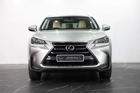 NX