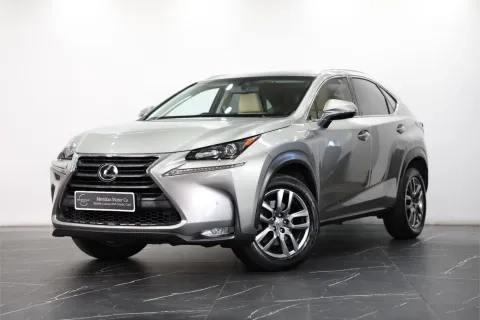 NX